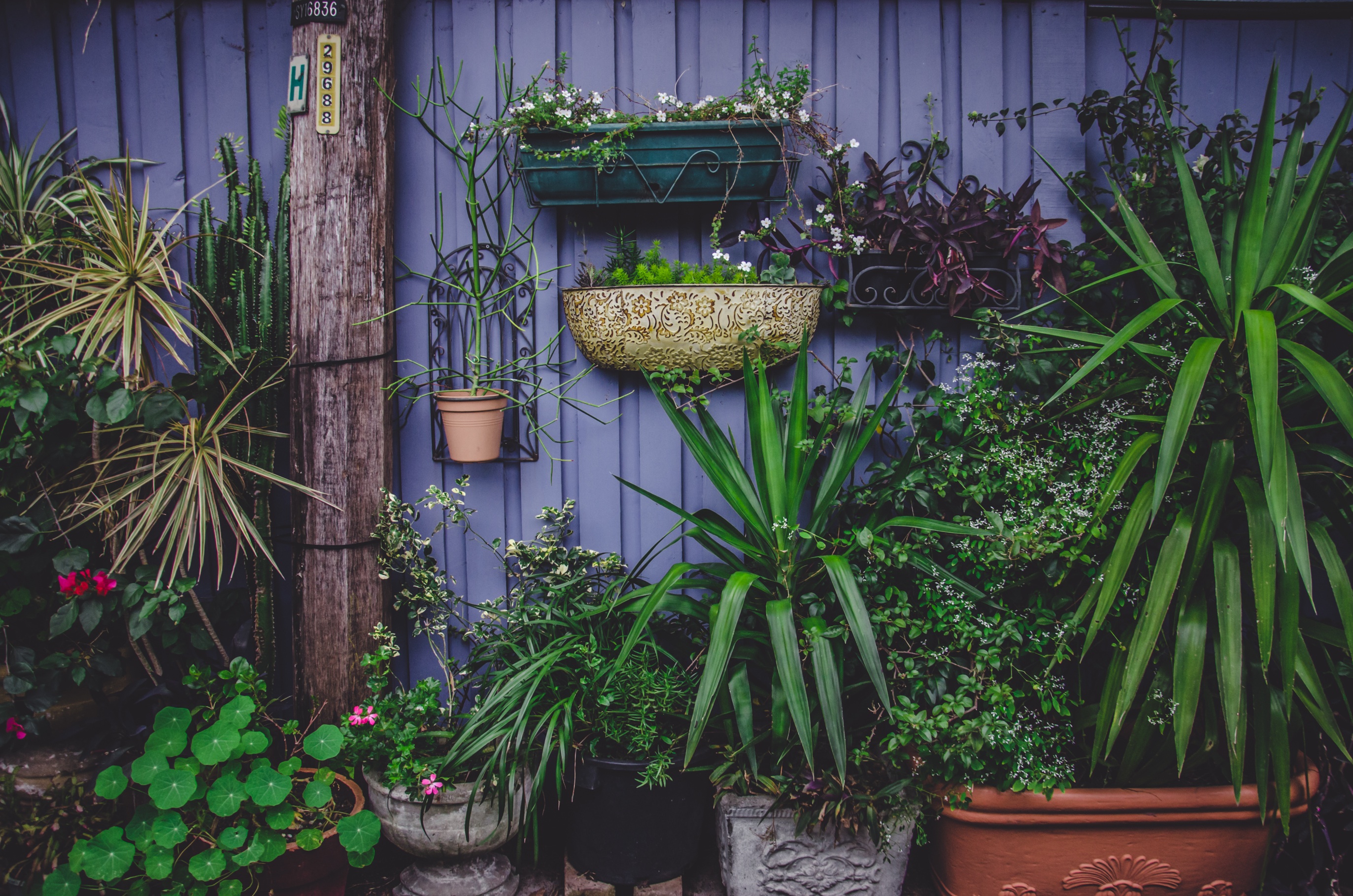 Garden Sheds That Go Above and Beyond | Backyard Escapes And Landscaping