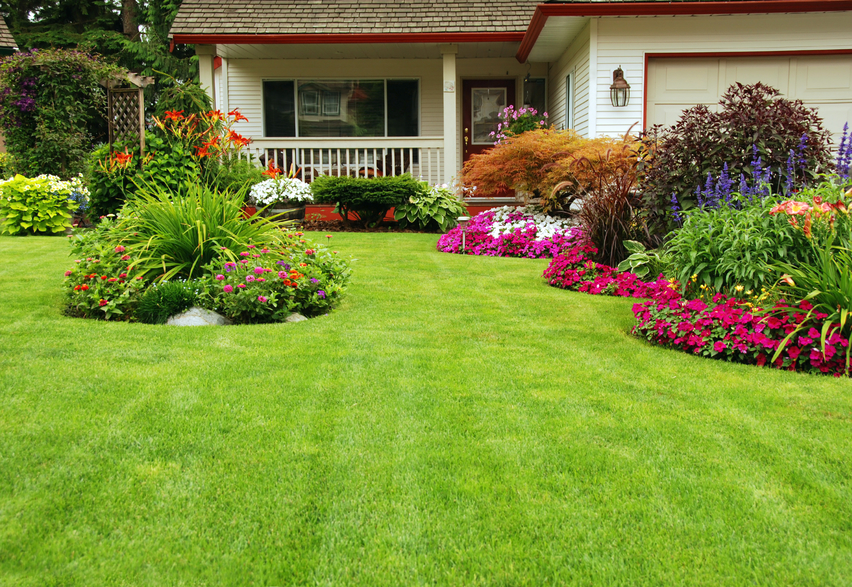 Winter's Here: Learn How to Prepare Your Plants, Trees and Other Landscaping - The Richard Hopkinson Team