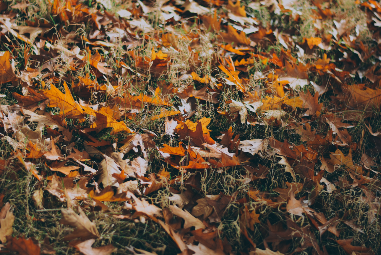 Is Fall the Right Time to Sell Your Home?