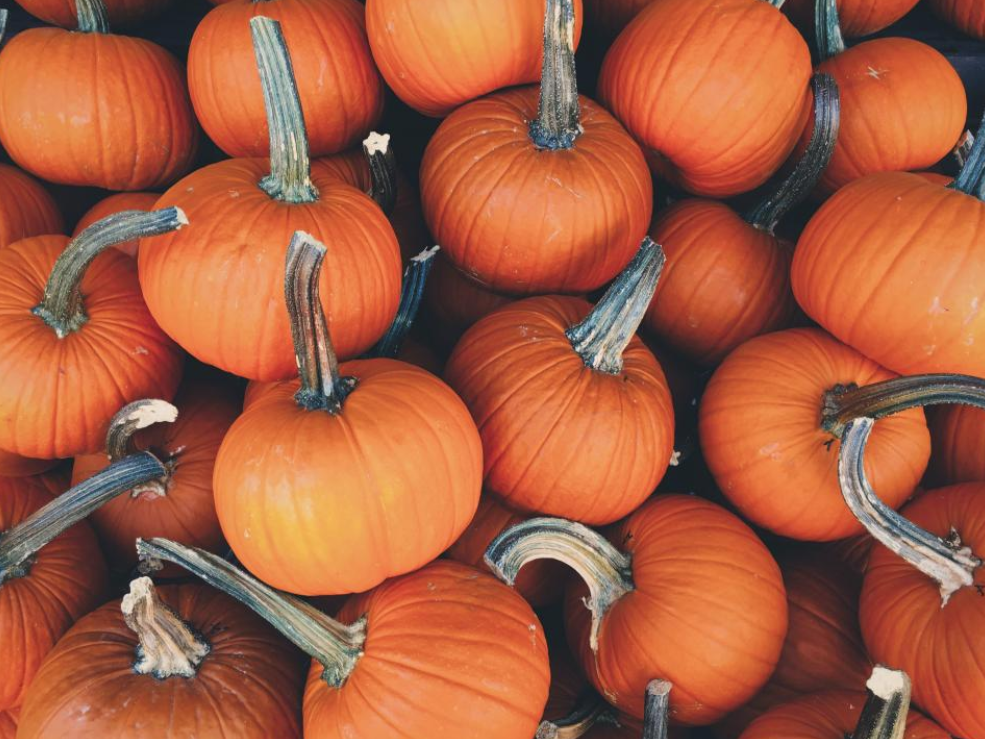 Cleveland's Best Events to Look Forward to This October