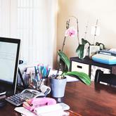 Resolved! 12 Burning Questions About Home Office Deductions