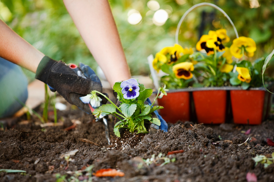 Northeast Spring Gardening Tips