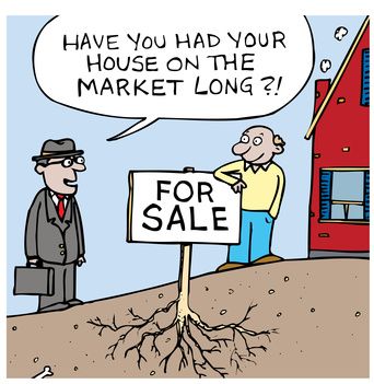 Why can’t we price it high then drop the price if we need to?