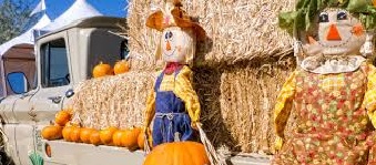 Fall Time Fun