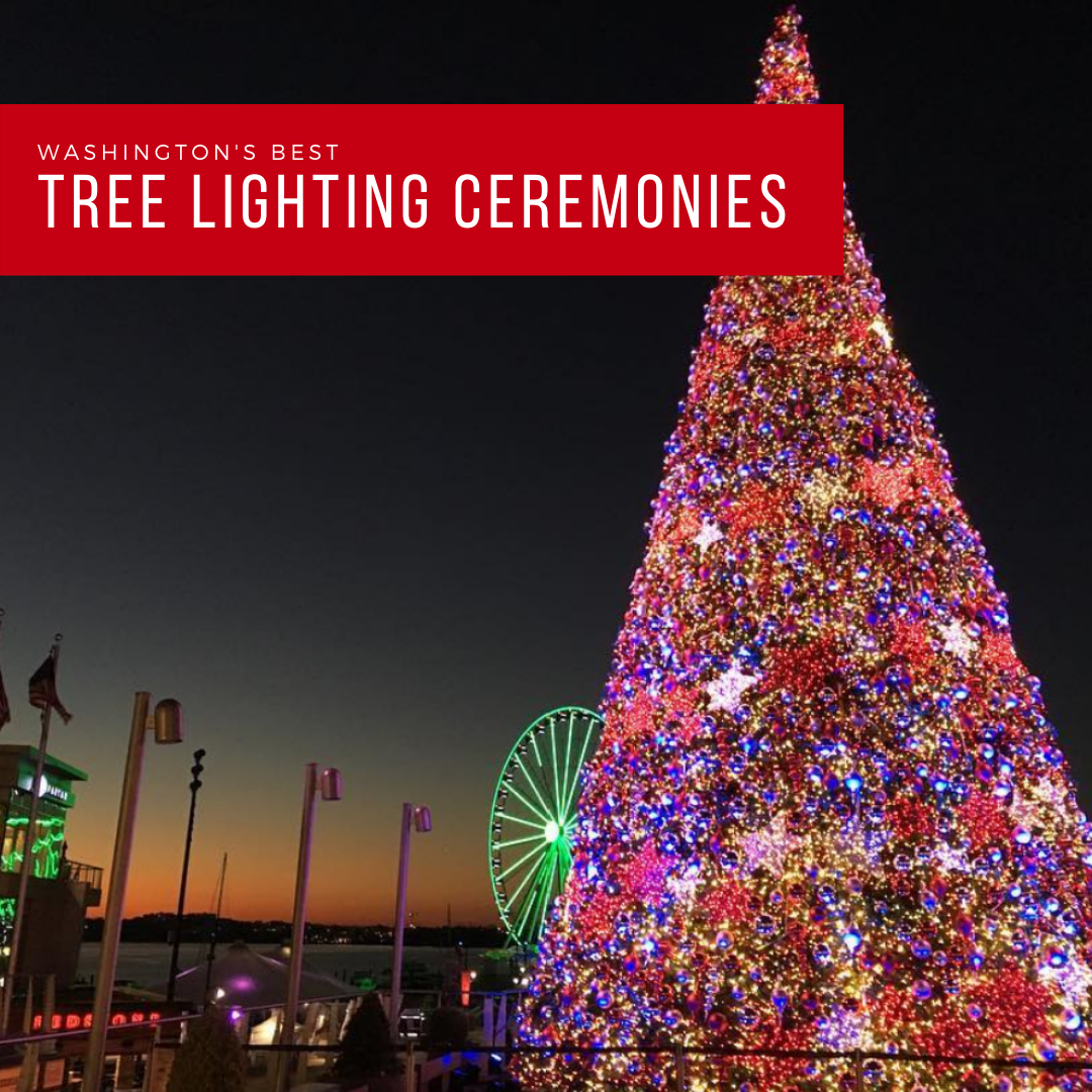 DC's Best Tree Lighting Ceremonies