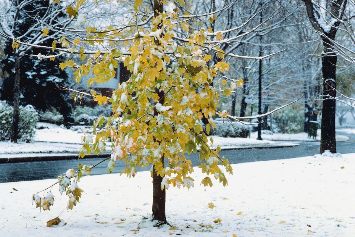 7 Mistakes That Cost Des Moines Homeowners BIG Money During Cold Iowa Weather