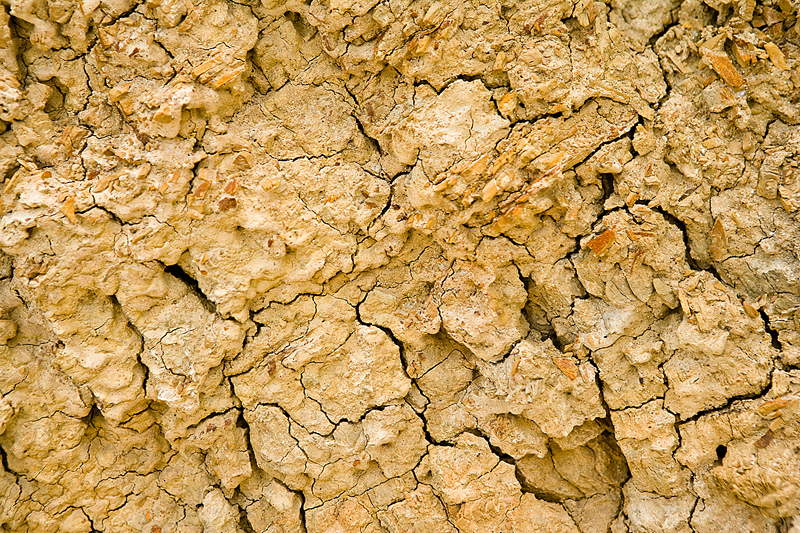 Radon Test in Des Moines, Iowa: DIY or Professional?