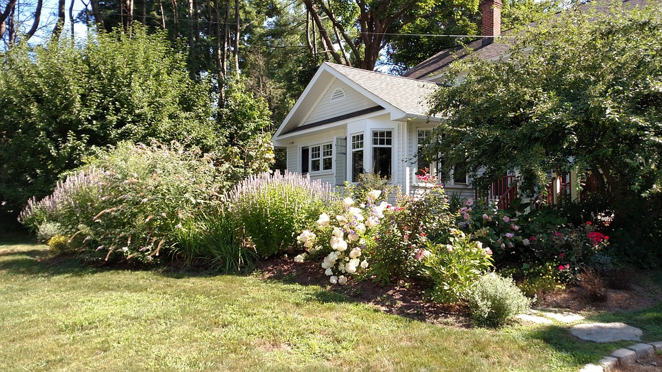 The Best Choices You Can Make for a Practically Hassle-Free Yard in Des Moines