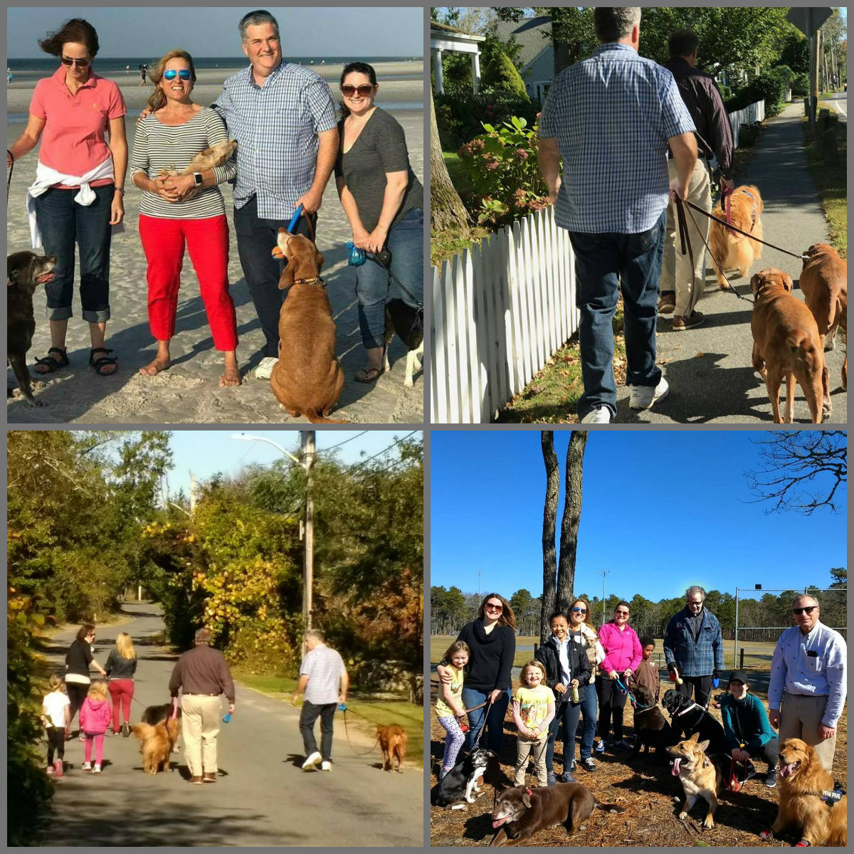Dog walks and Meet-ups on Cape Cod 