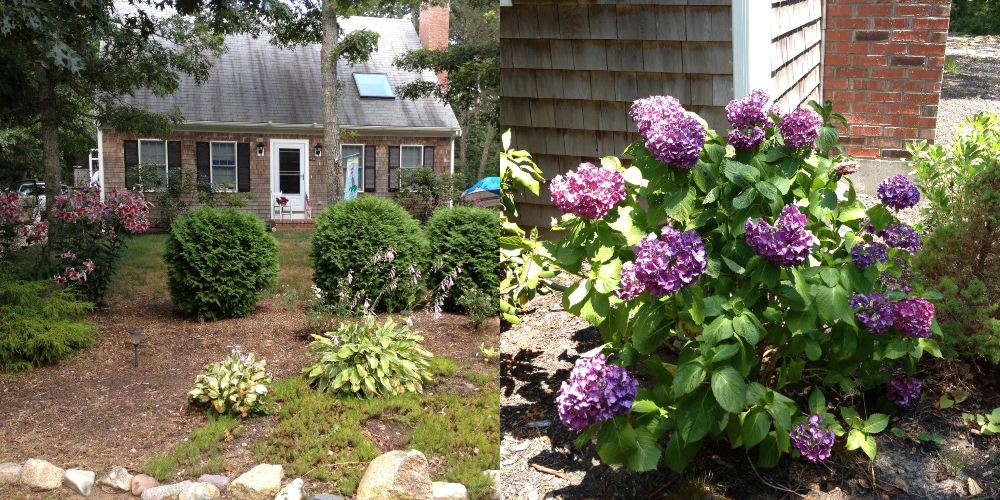 Images of garden at 83 Brook Trail Road in Brewster Cape Cod