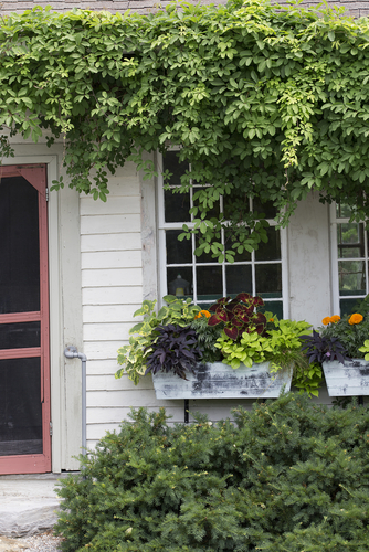 5 TIPS FOR BUYING A HOME