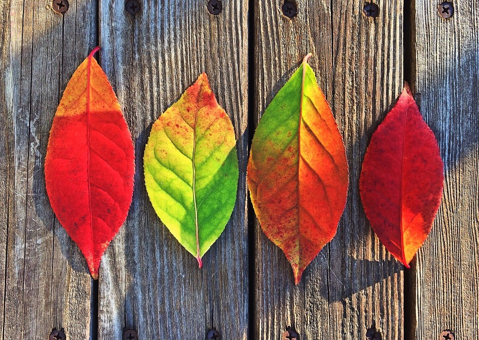 5 Reasons to Sell This Fall