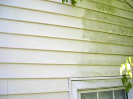Vinyl Siding is durable but needs to be cleaned