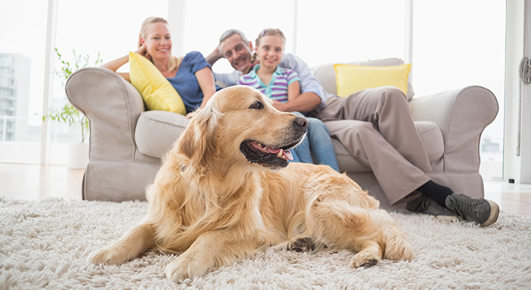 ​What Does Home Mean to You?