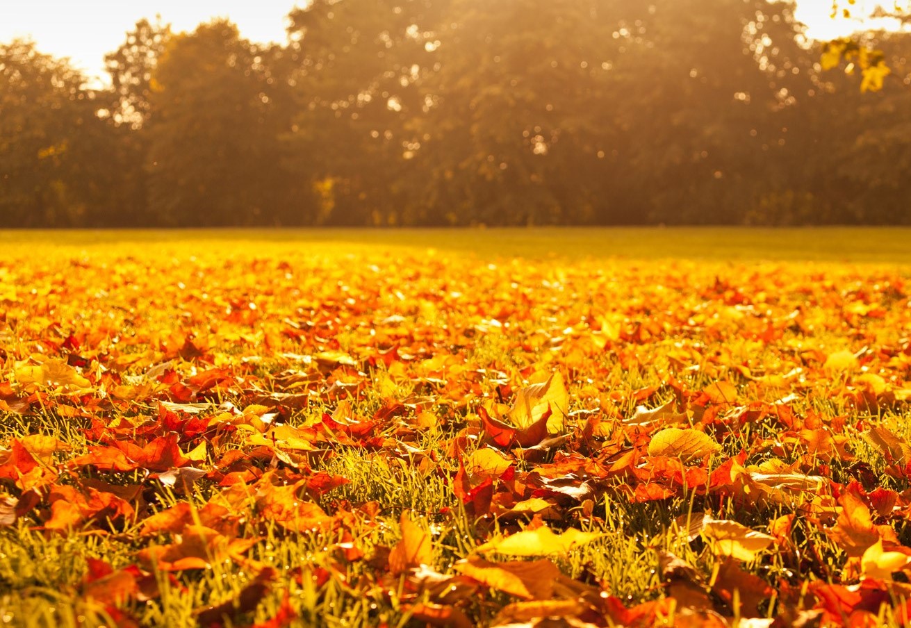 Fall Home Maintenance List