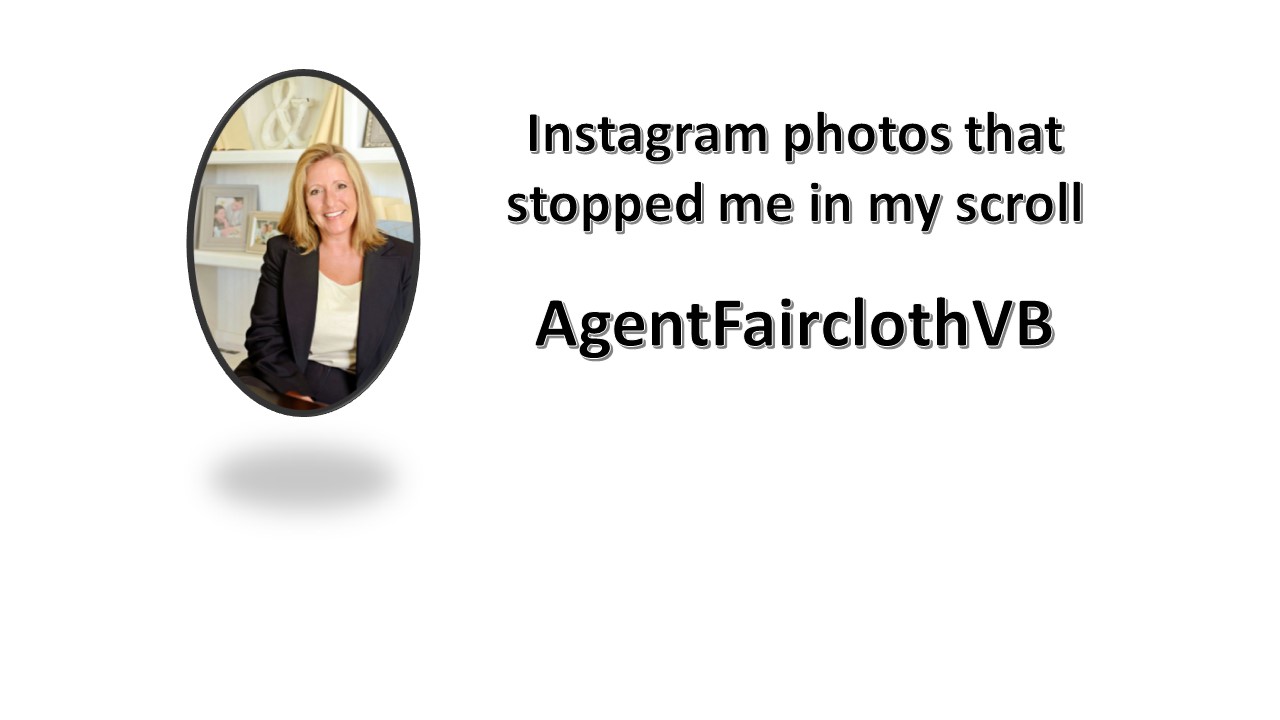 Instagram photos that stopped me in my scroll