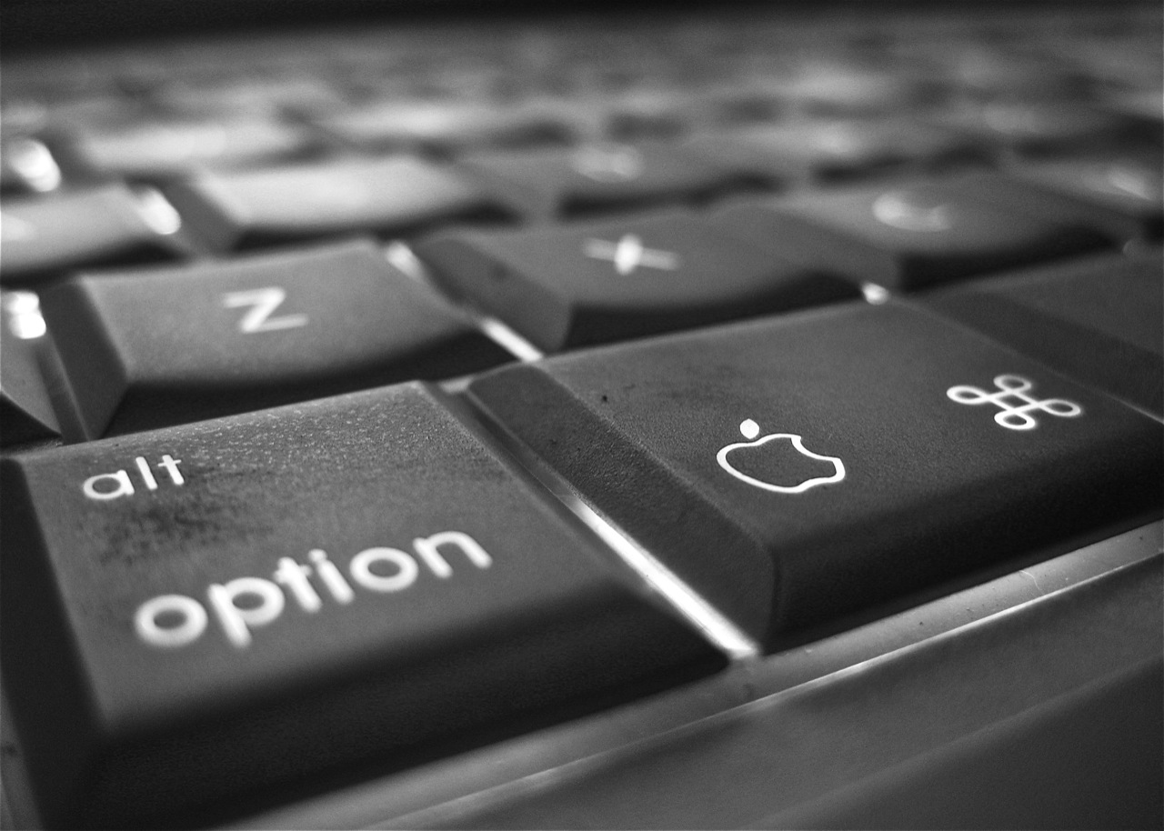 Why is the option period so important?