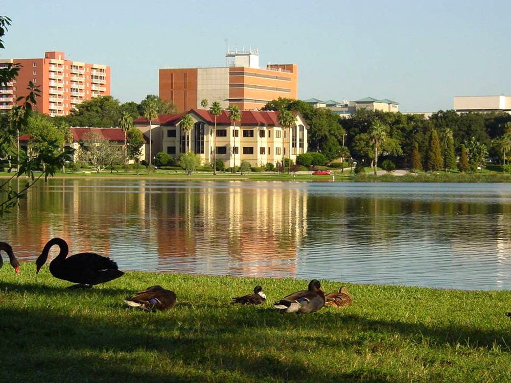 Search Lakeland Homes for Sale