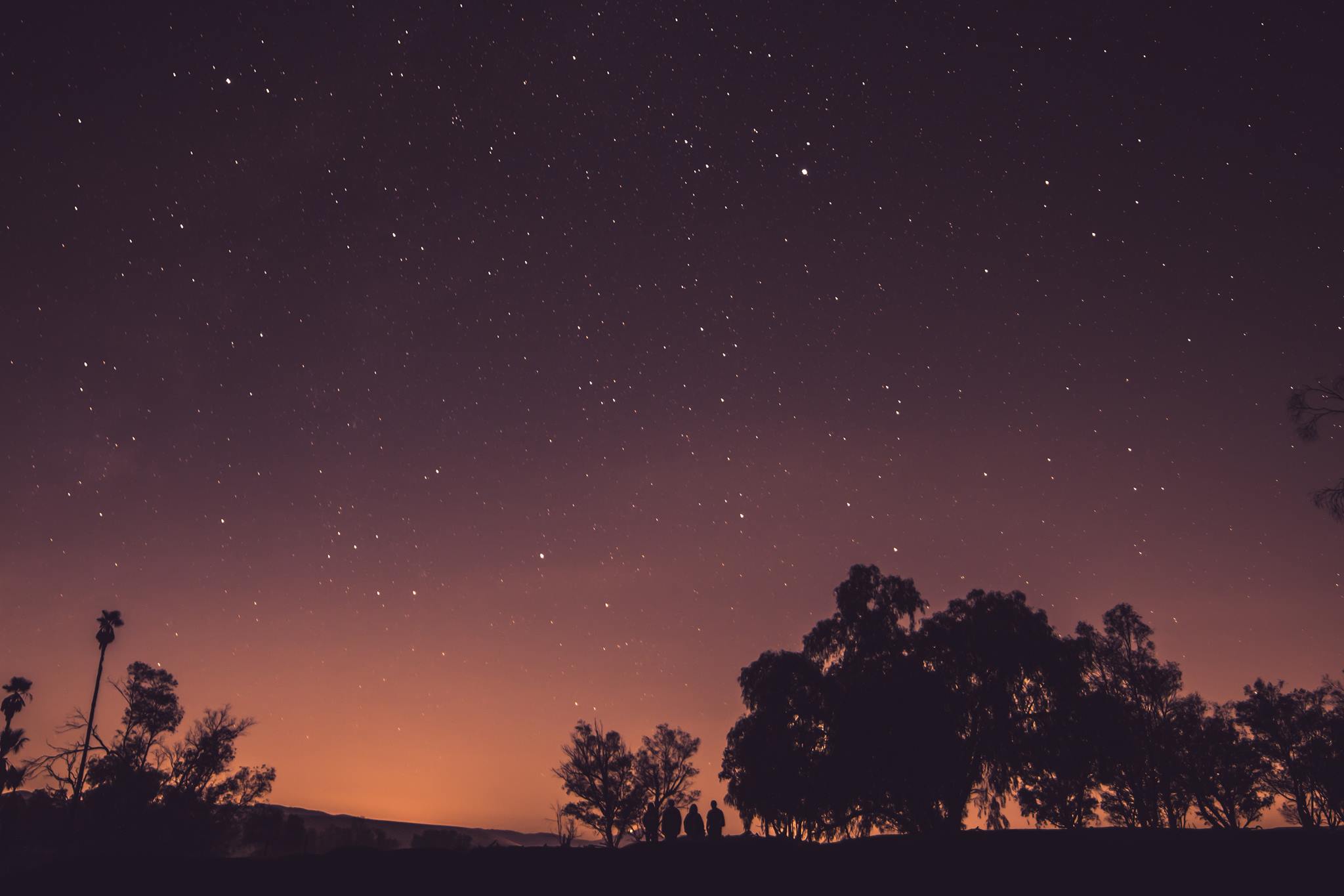 Busch Wildlife Sanctuary Night Walk