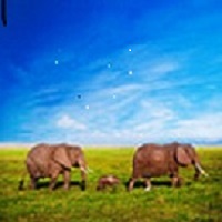 7000lb elephant in the room