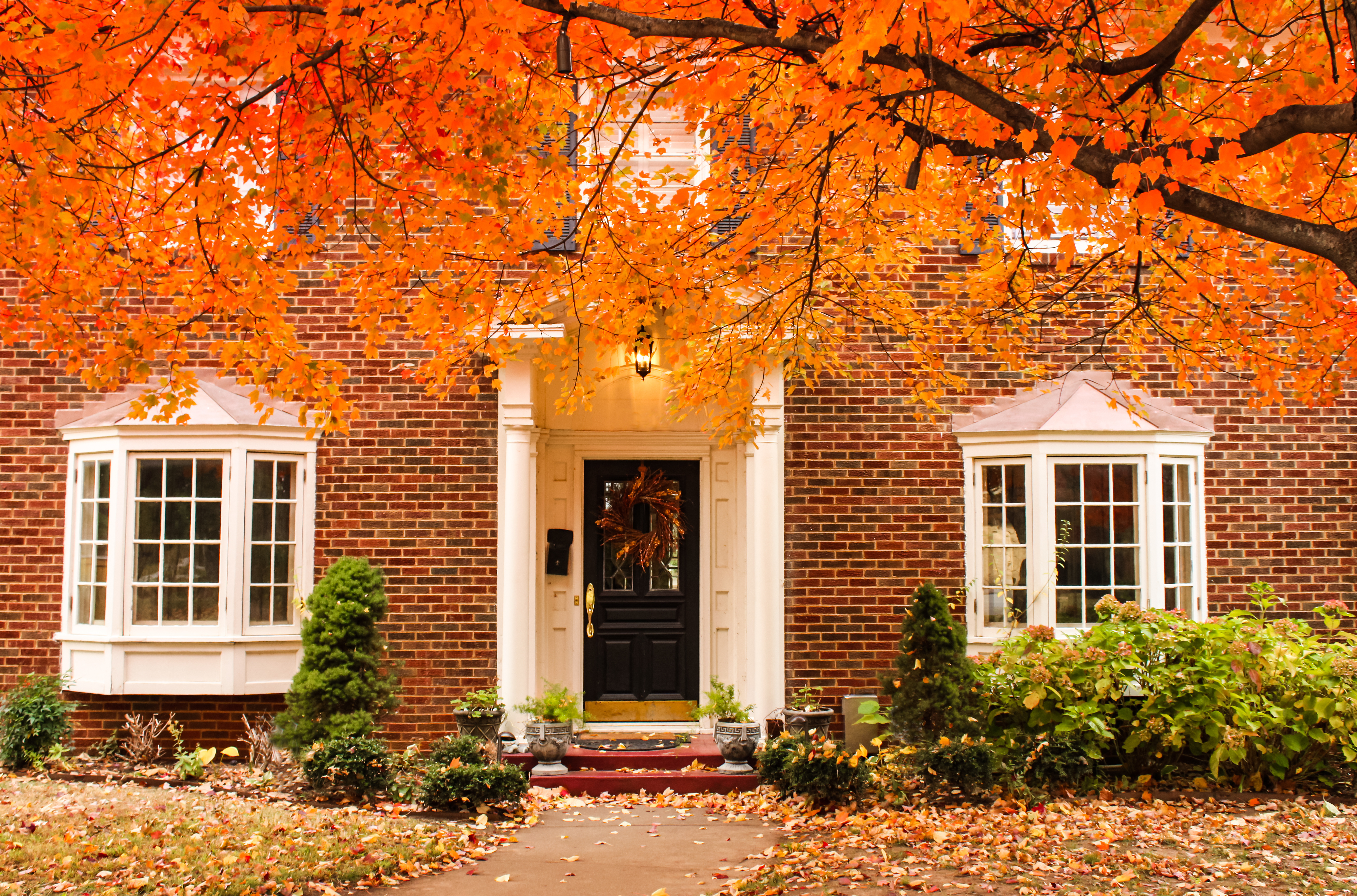 5 Reasons Why You Should Buy in the Fall!