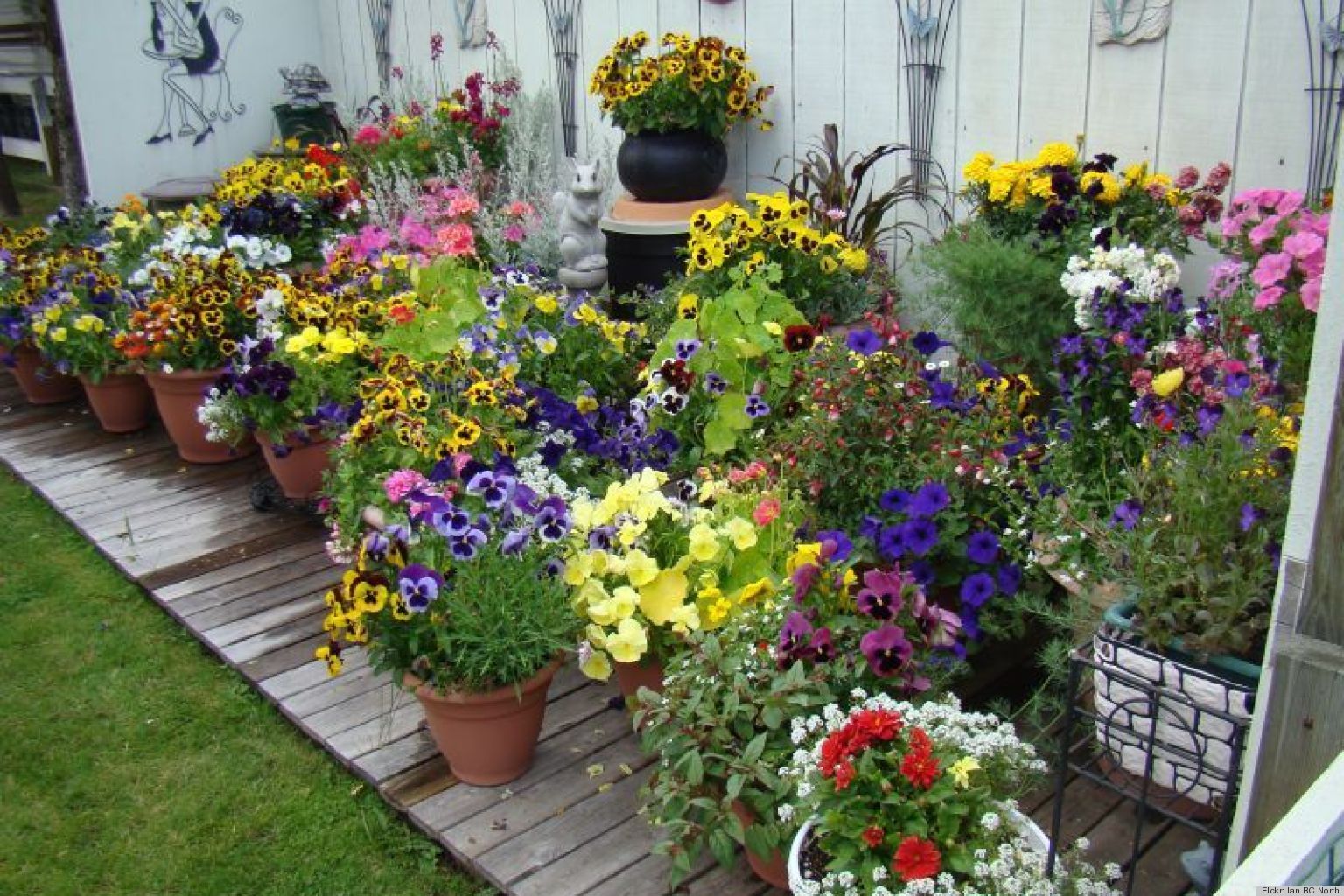 Container Gardens for Every Style
