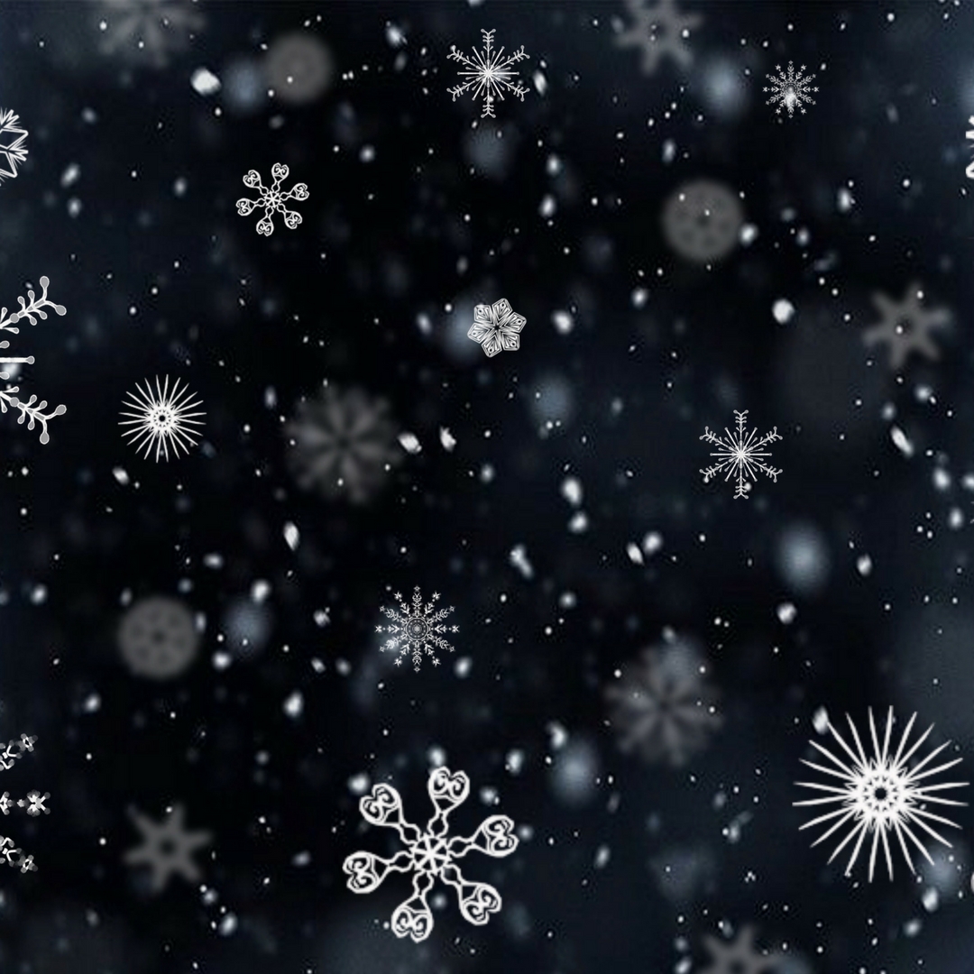 12 Must do 2018 Winter Events in El Dorado County