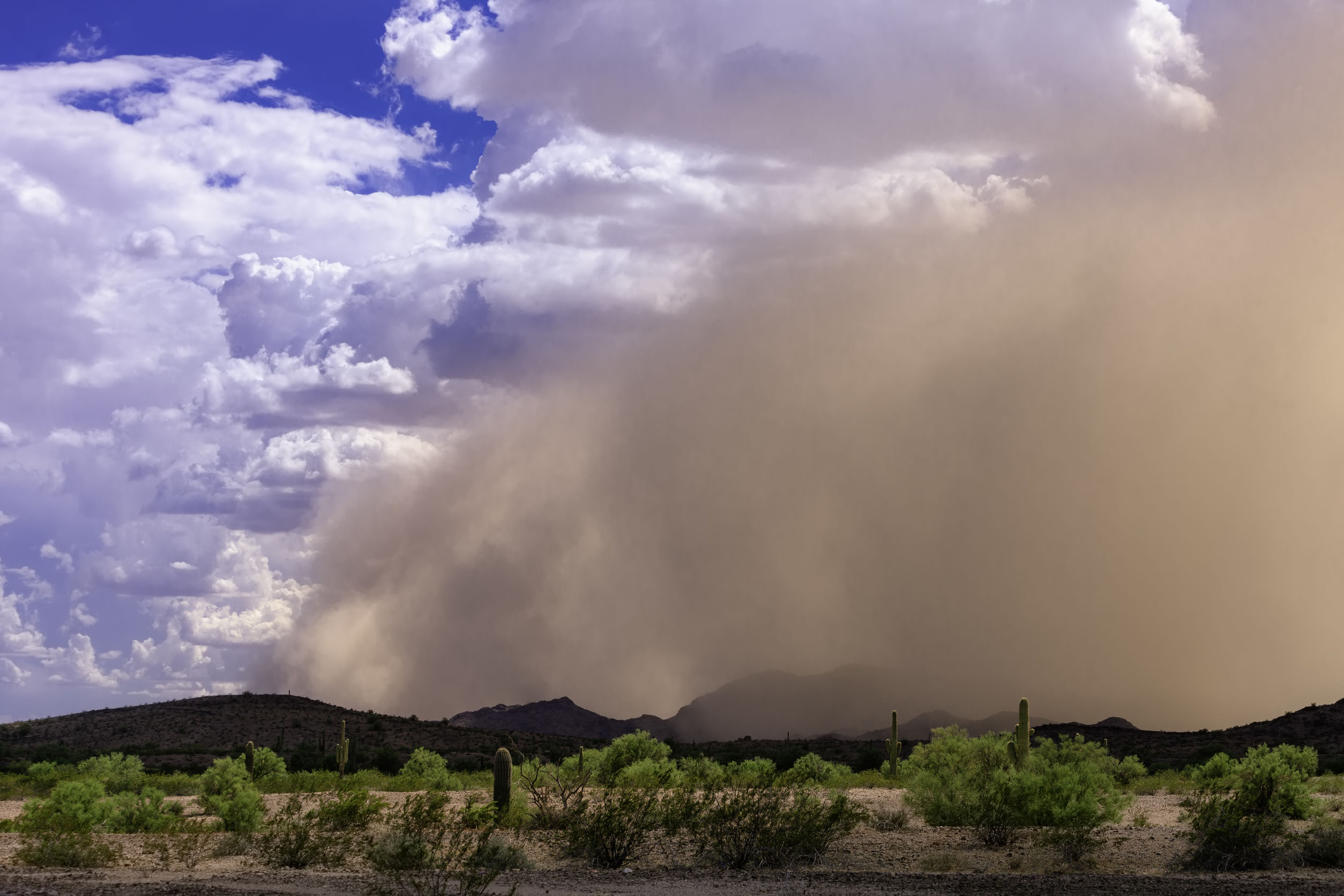 Arizona Haboob