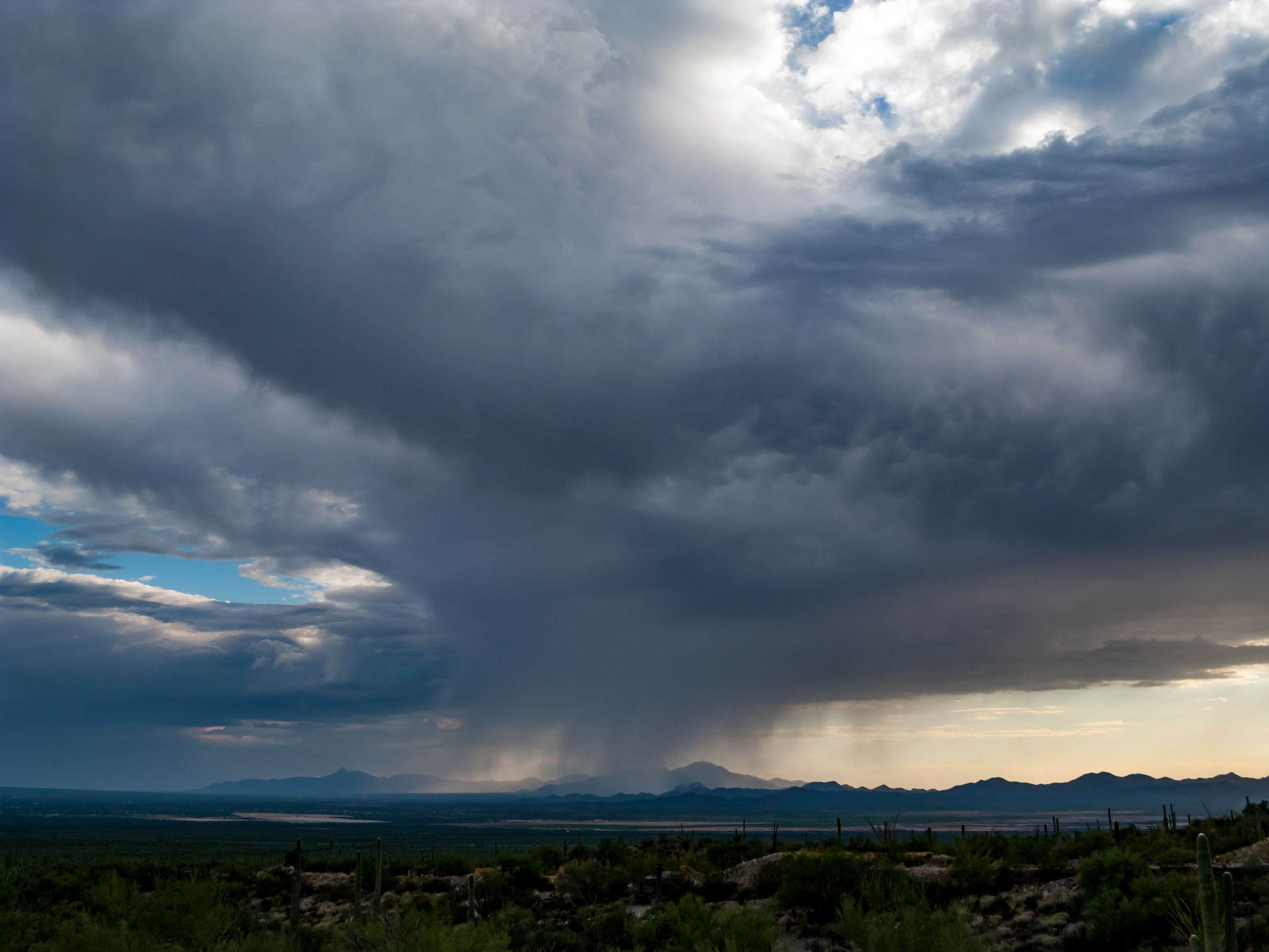 Arizona Monsoon