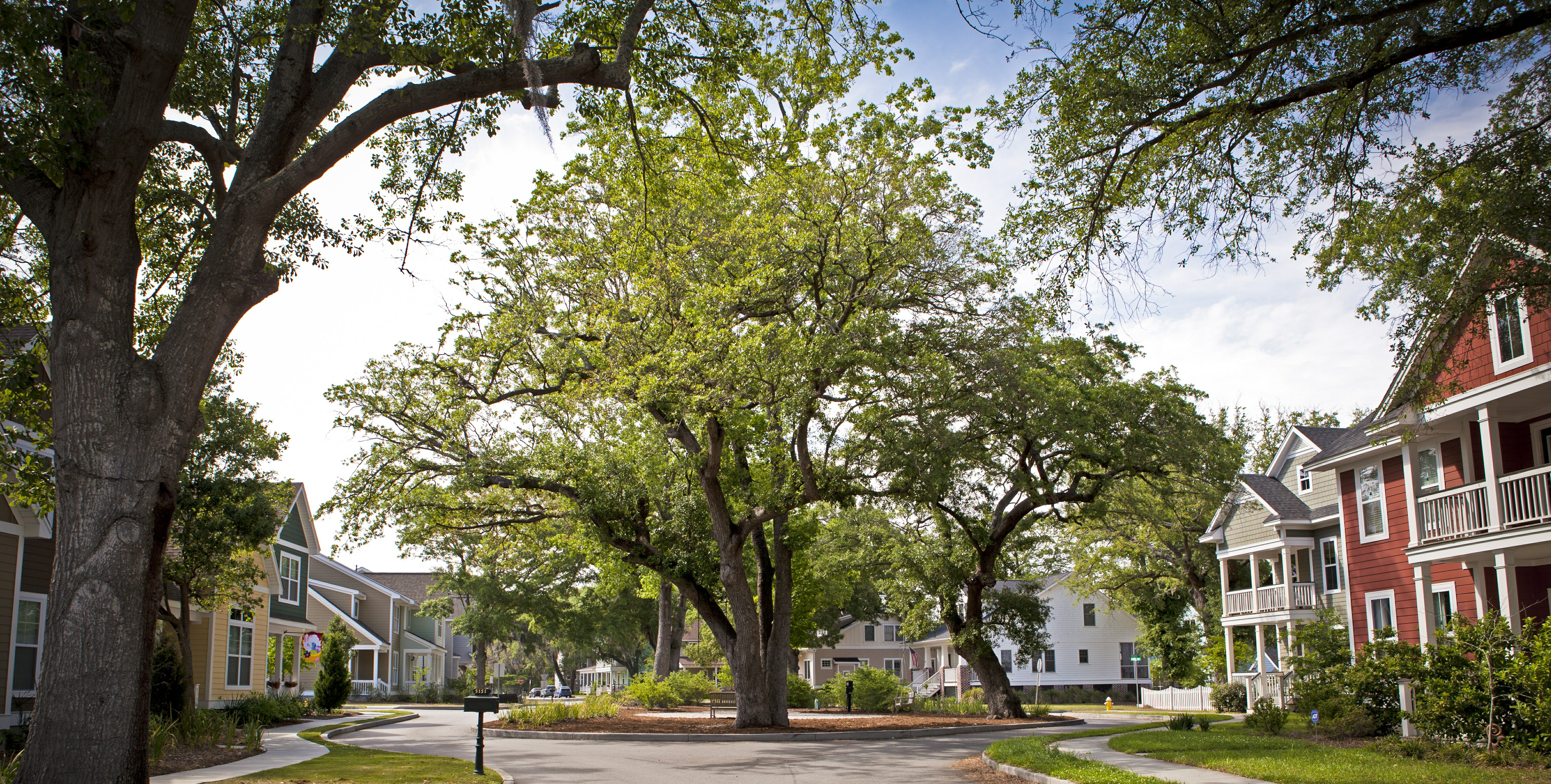 ​​Tips for Buying a Healthy Georgia Home