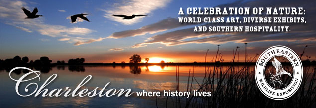 A Celebration of Nature: SEWE is here!