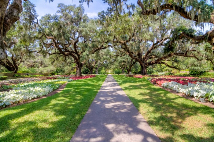 Charleston Real Estate Market: April Update
