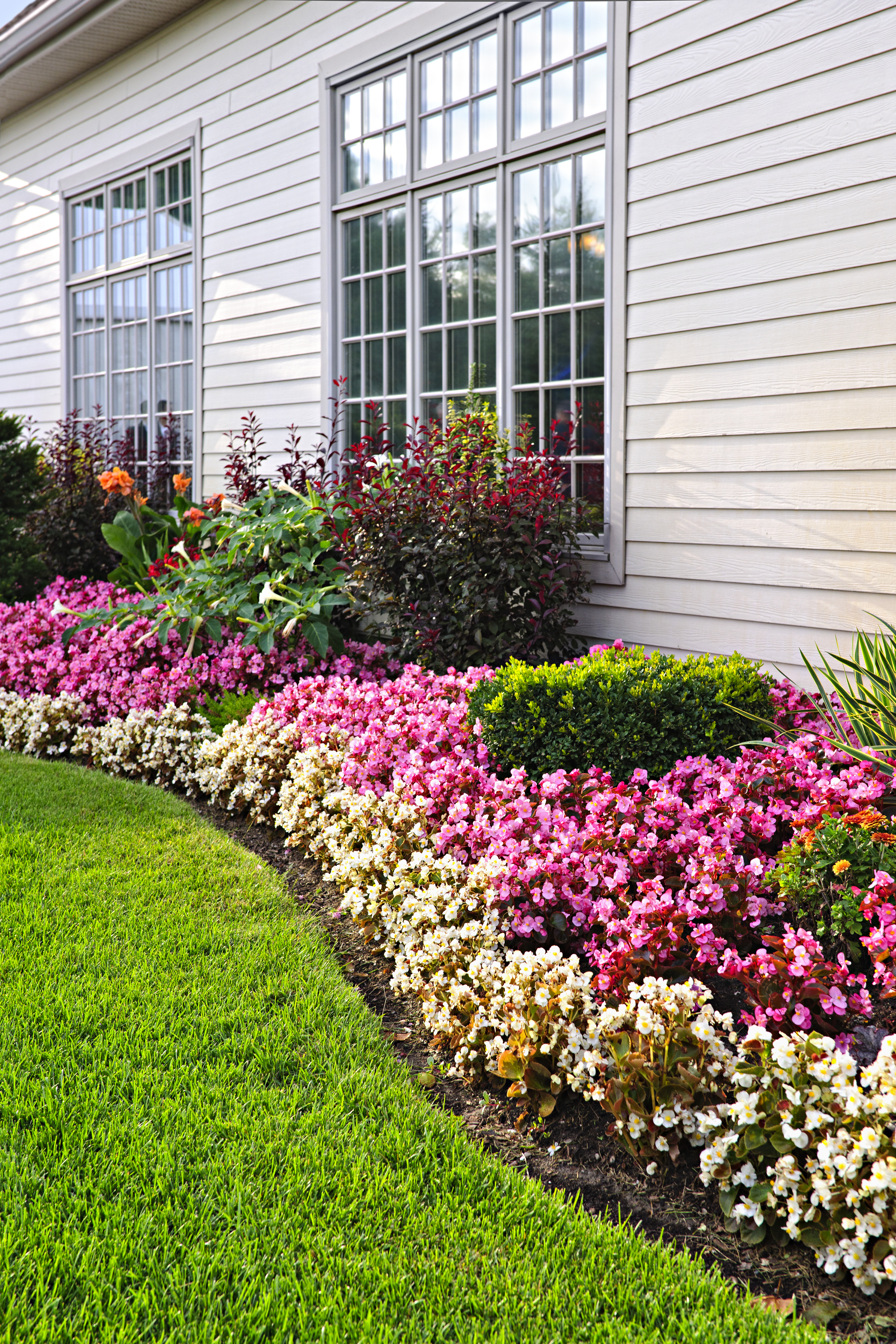 Spring into Gardening Mode