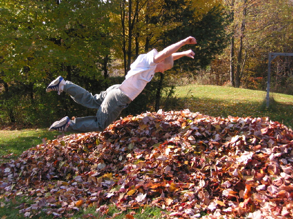 Problem Solved: Fall Leaves.