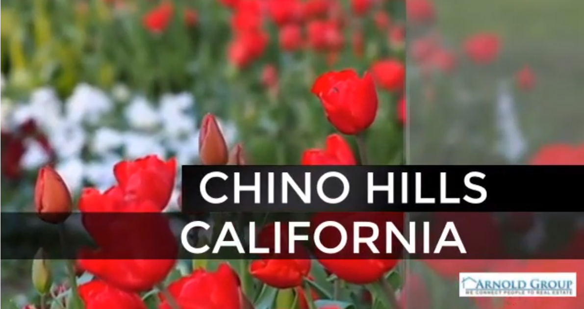 Housing Update for February 2020 - Chino Hills, CA. 