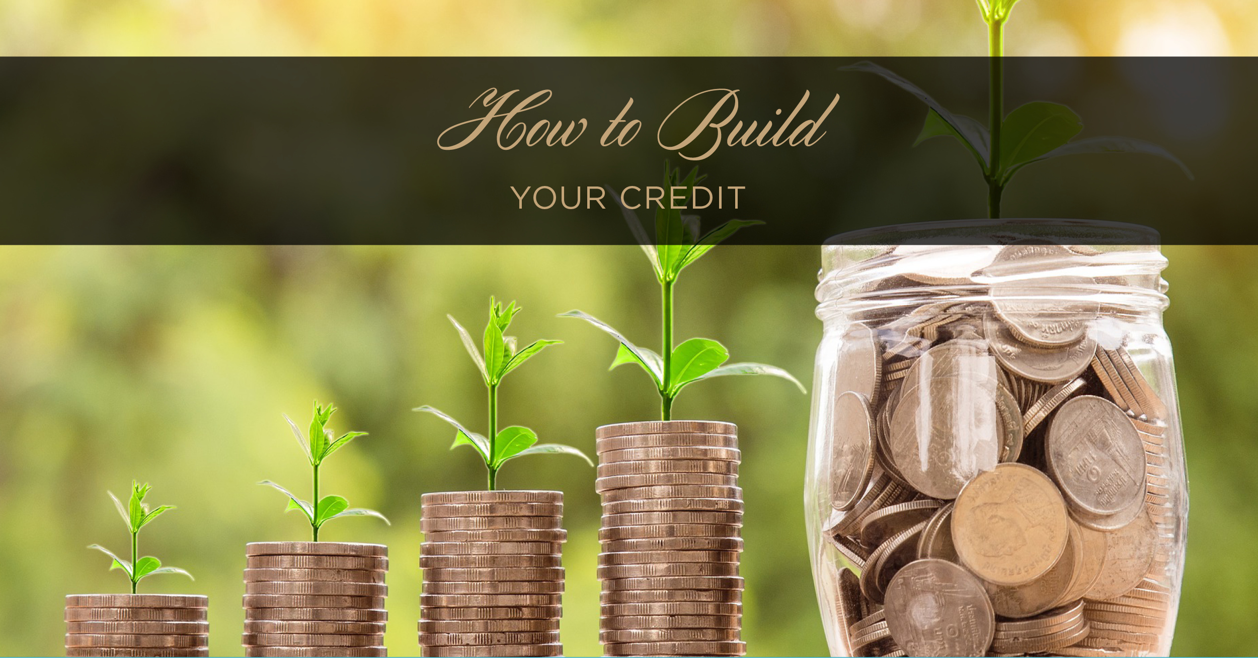 How To Build Credit Barnett Real Estate - how to build credit