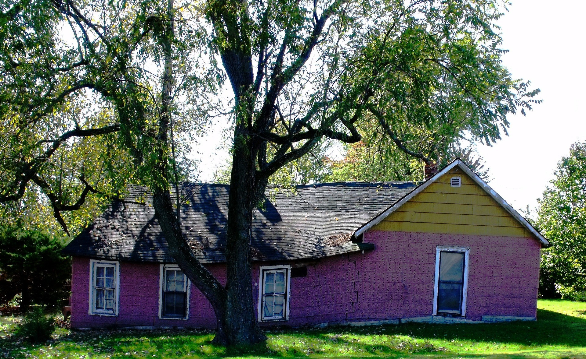 Buying Your First Fixer-Upper? 5 tips the flipping pros want you to know