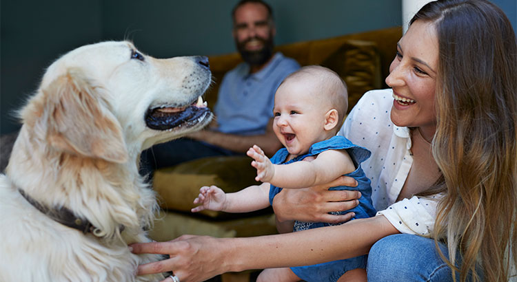 What Makes a House a Home For You?