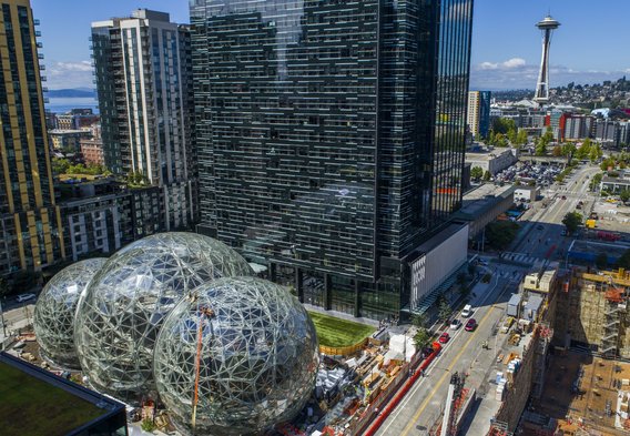 To Grow Or Not to Grow. That is Amazon's Question.