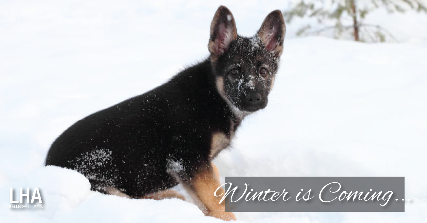 Winter Is Coming. 5 Reasons to Sell Now!