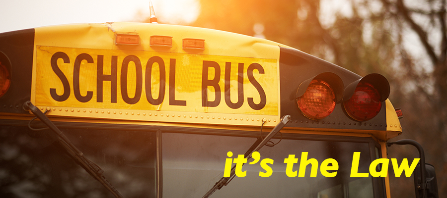 School Bus Laws