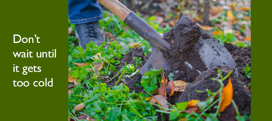 fall outdoor clean up compost