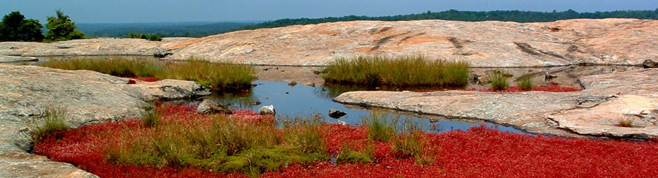 Celebrating 100 Years of our National Parks