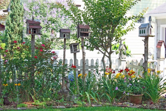 Say hello to butterflies and goodbye to mosquitoes with a cottage garden.