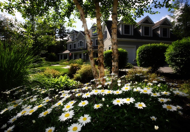 The Right Landscaping Can Increase Your Home’s Value