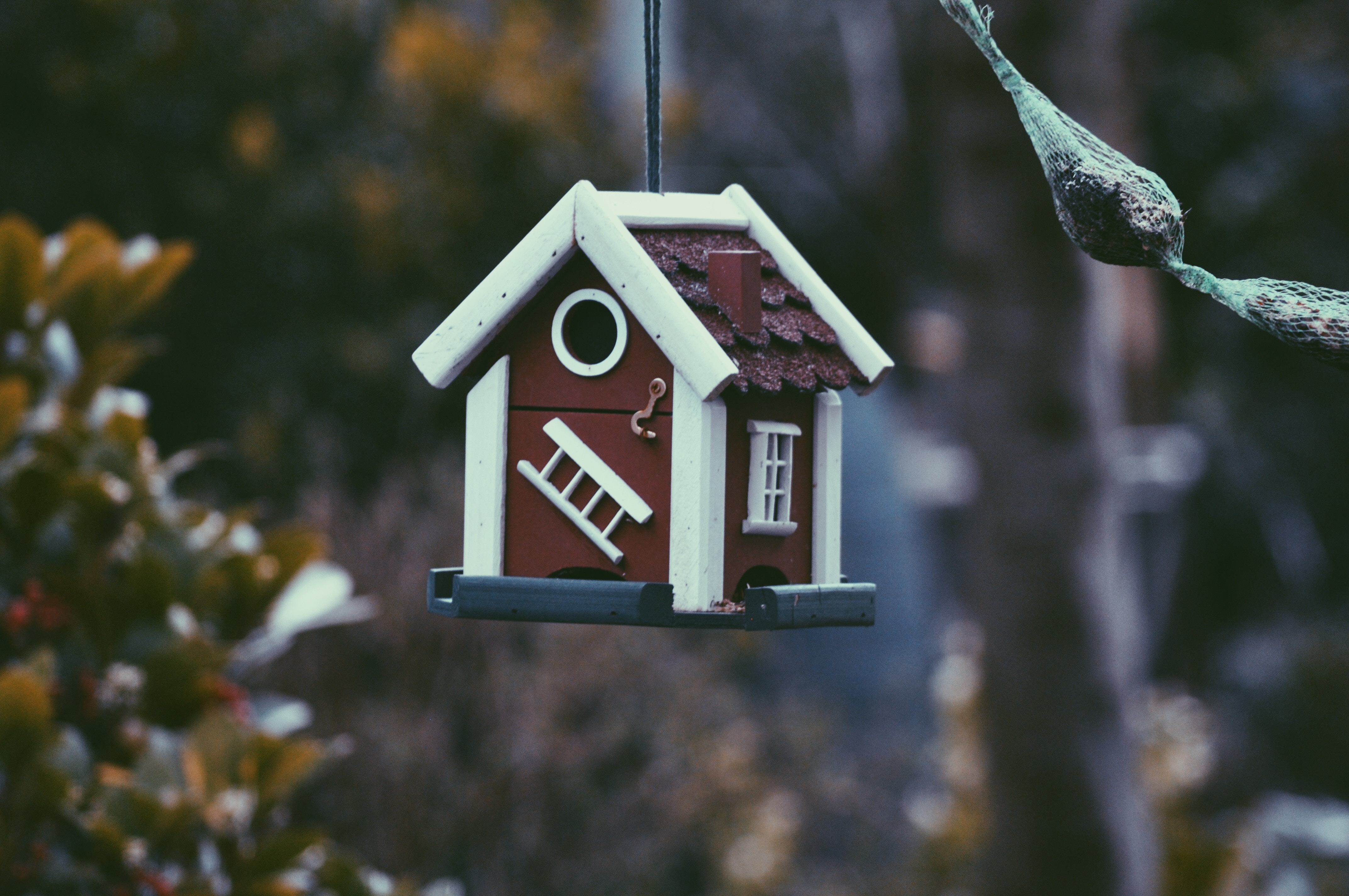 Selling Your Boise House: It’s No Time for Secrets!