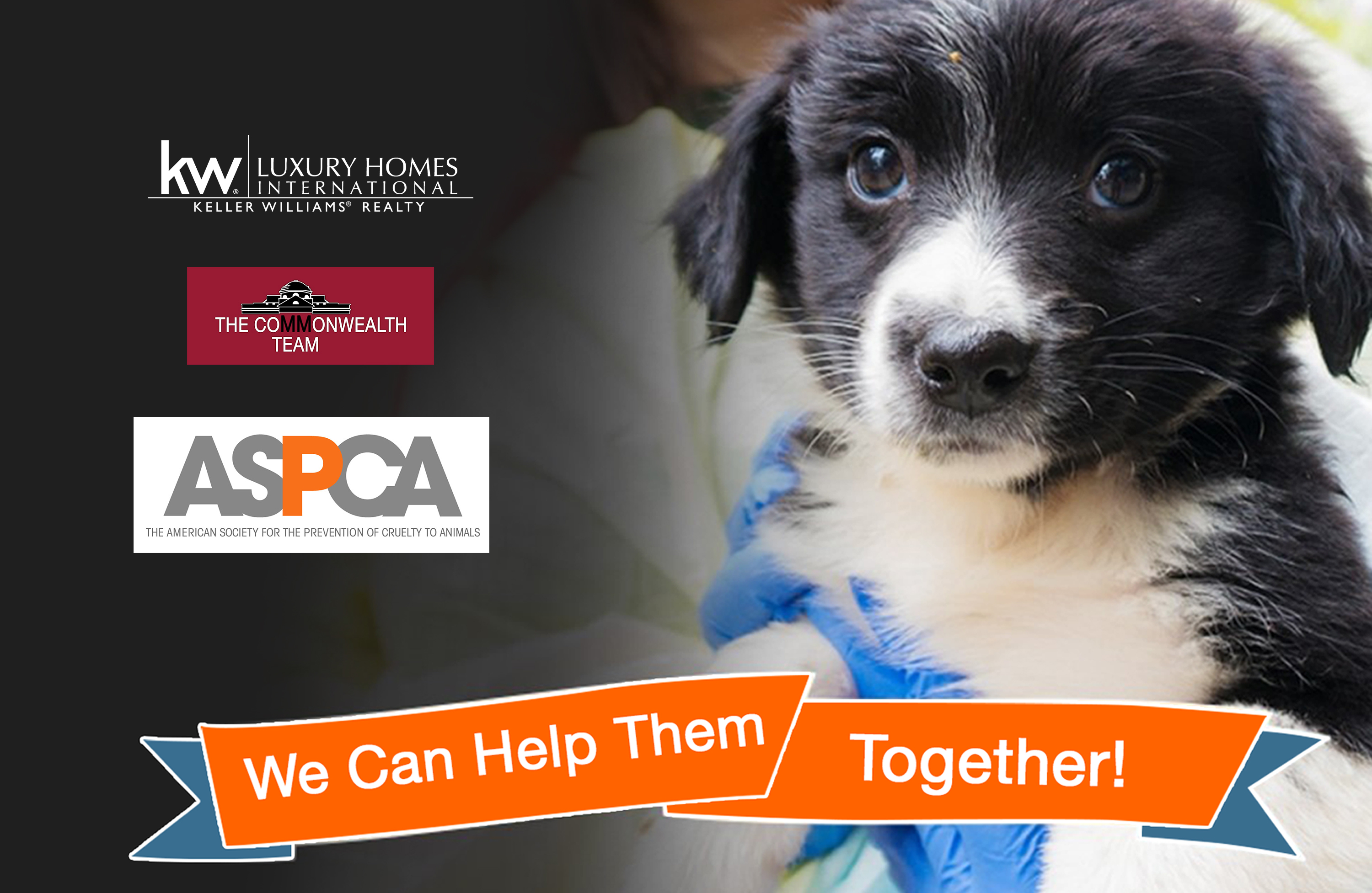 ASPCA Responds to Harvey - We Can Help Them, Together!