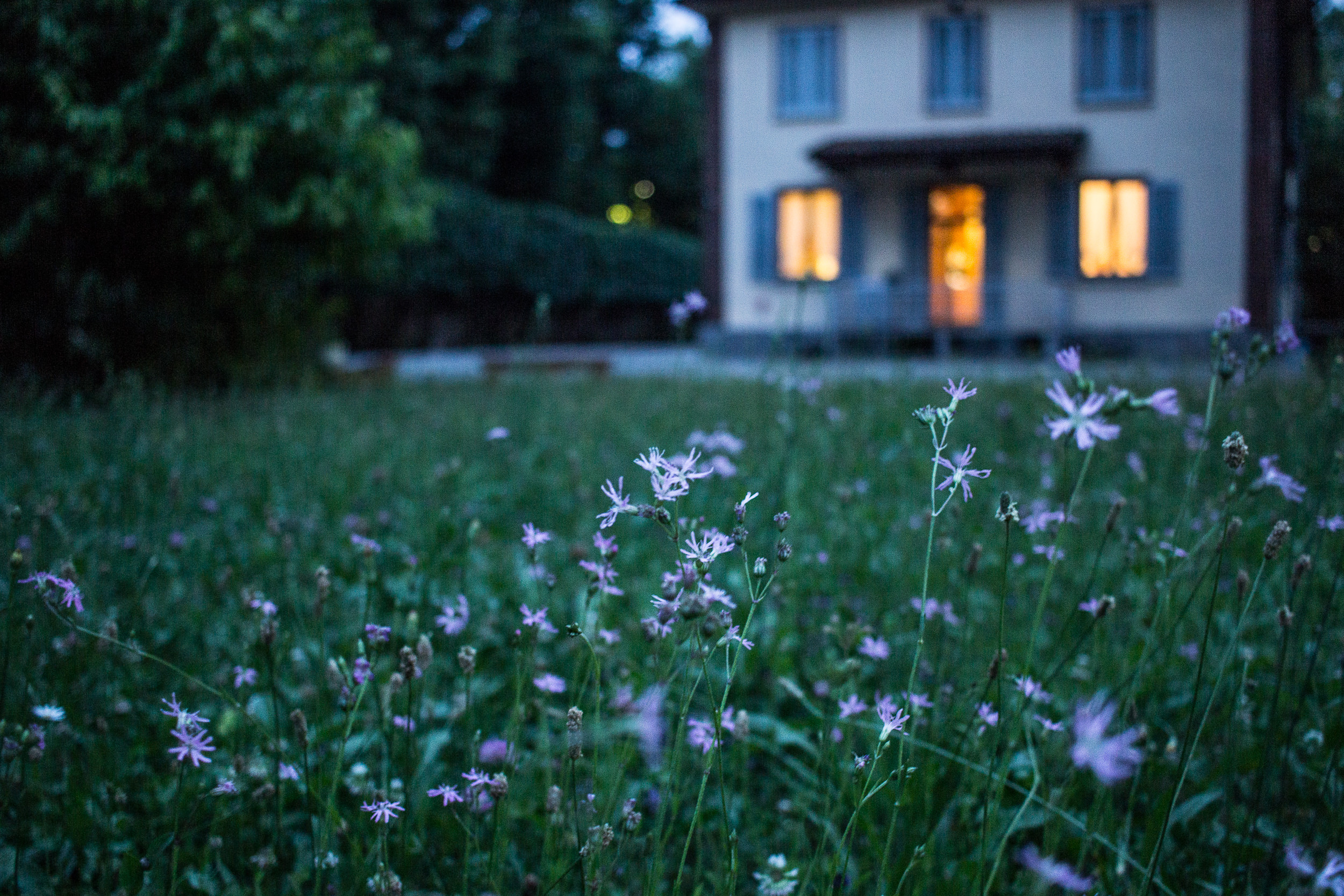 Keep Your Home Safe from Burglars When You're on Vacation