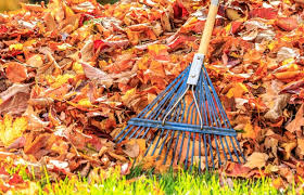 9 To-Dos in November for Homeowners