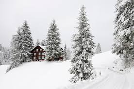 Winter Home Maintenance Tips